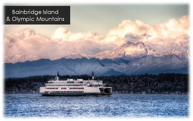 Bainbridge2