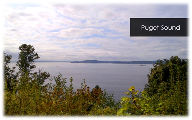 PugetSound2