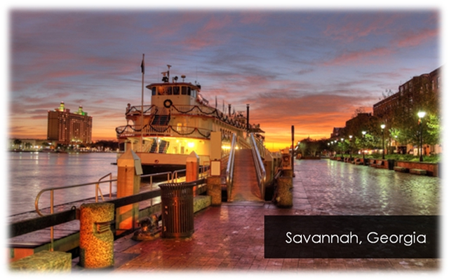Savannah1